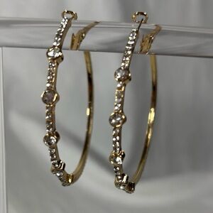 Elegant Gold and Crystal Hoop Earrings
Stainless Steel